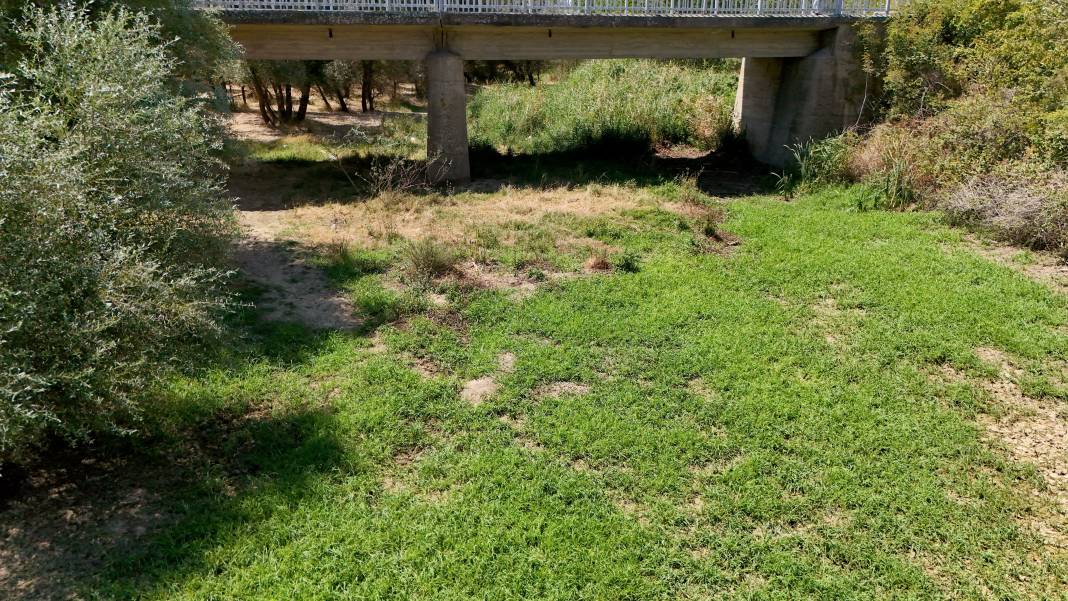 40 dereceyi aşan sıcaklıklar Teke Deresi'ni tamamen kuruttu 4