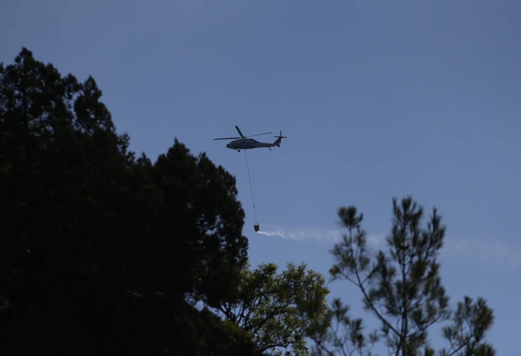 Sinop'ta orman yangını! Köy boşaltıldı 6