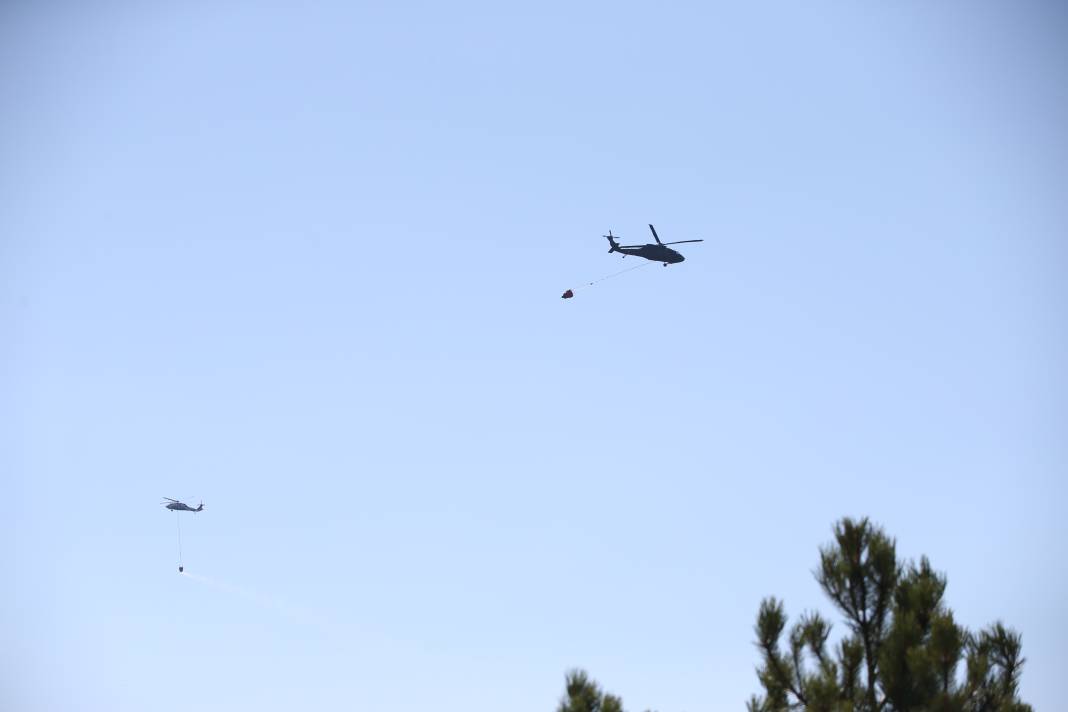 Sinop'ta orman yangını! Köy boşaltıldı 5