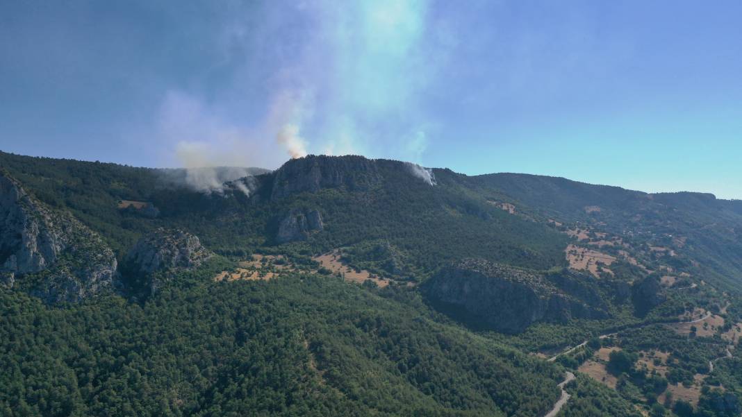 Sinop'ta orman yangını! Köy boşaltıldı 2