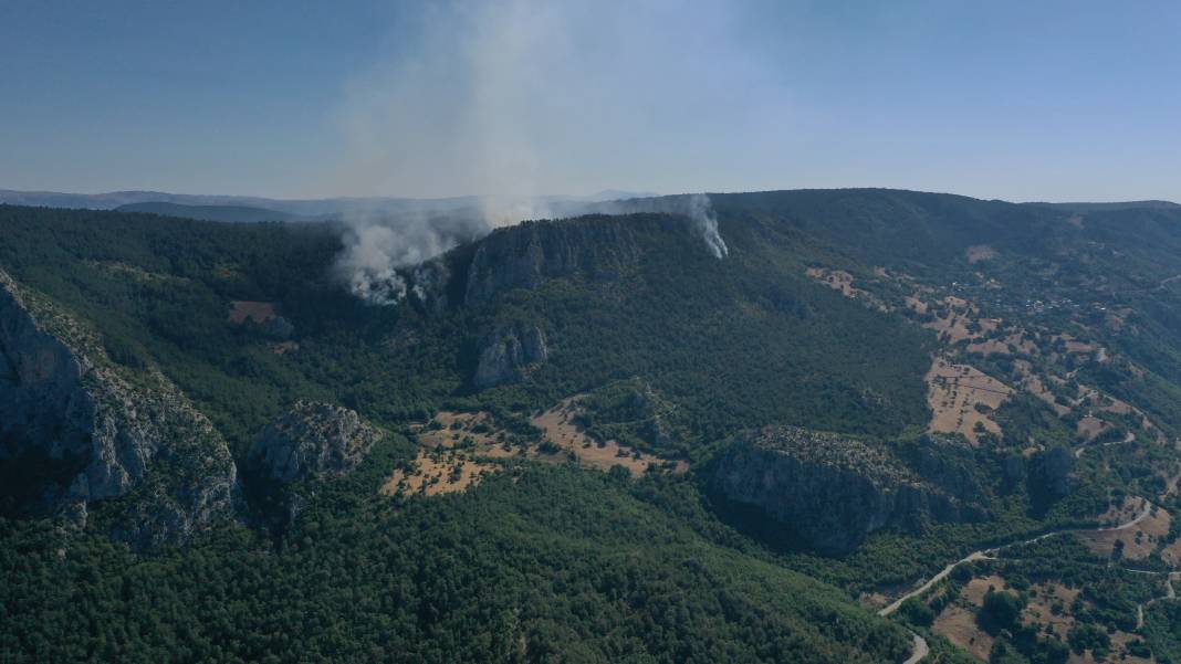 Sinop'ta orman yangını! Köy boşaltıldı 1