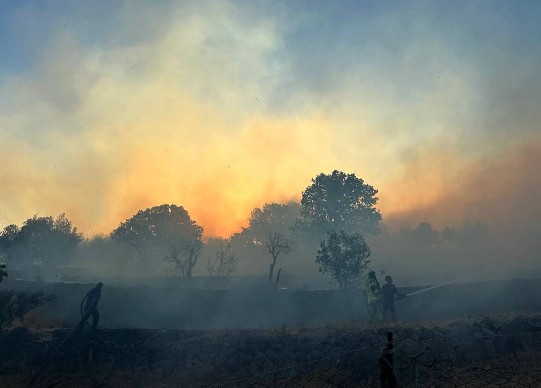 İzmir'de makilik alanda yangın 6