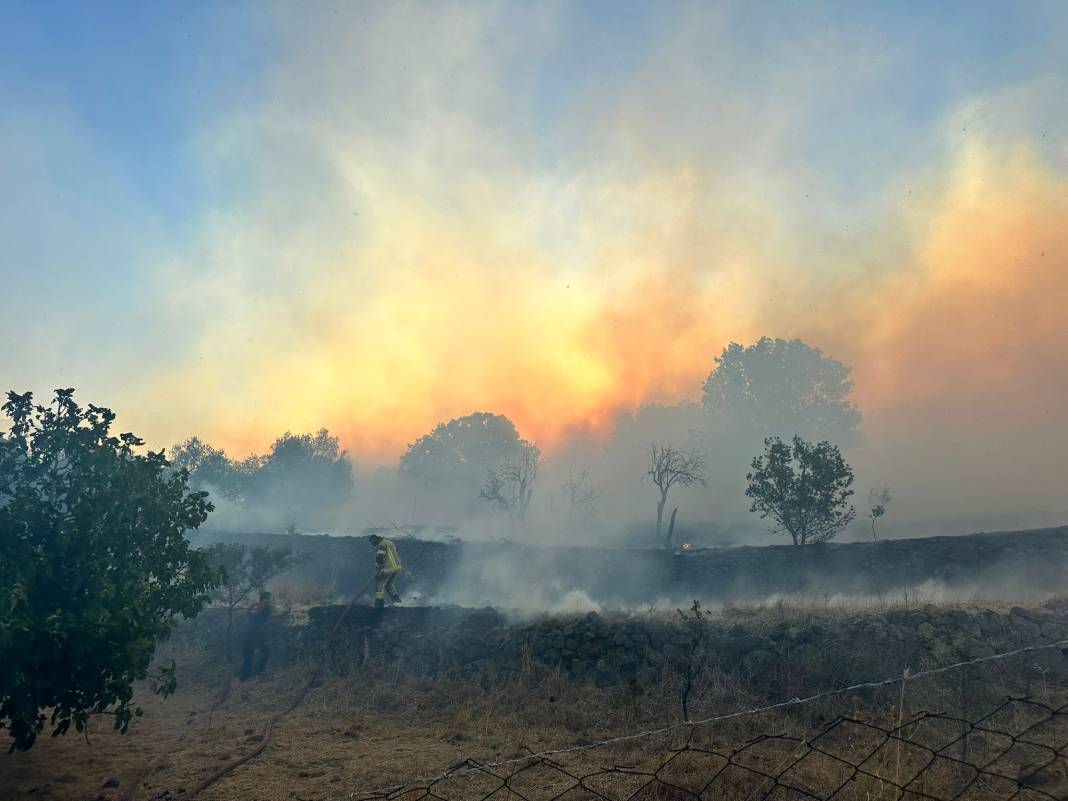 İzmir'de makilik alanda yangın 5