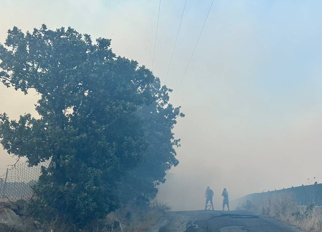 İzmir'de makilik alanda yangın 7