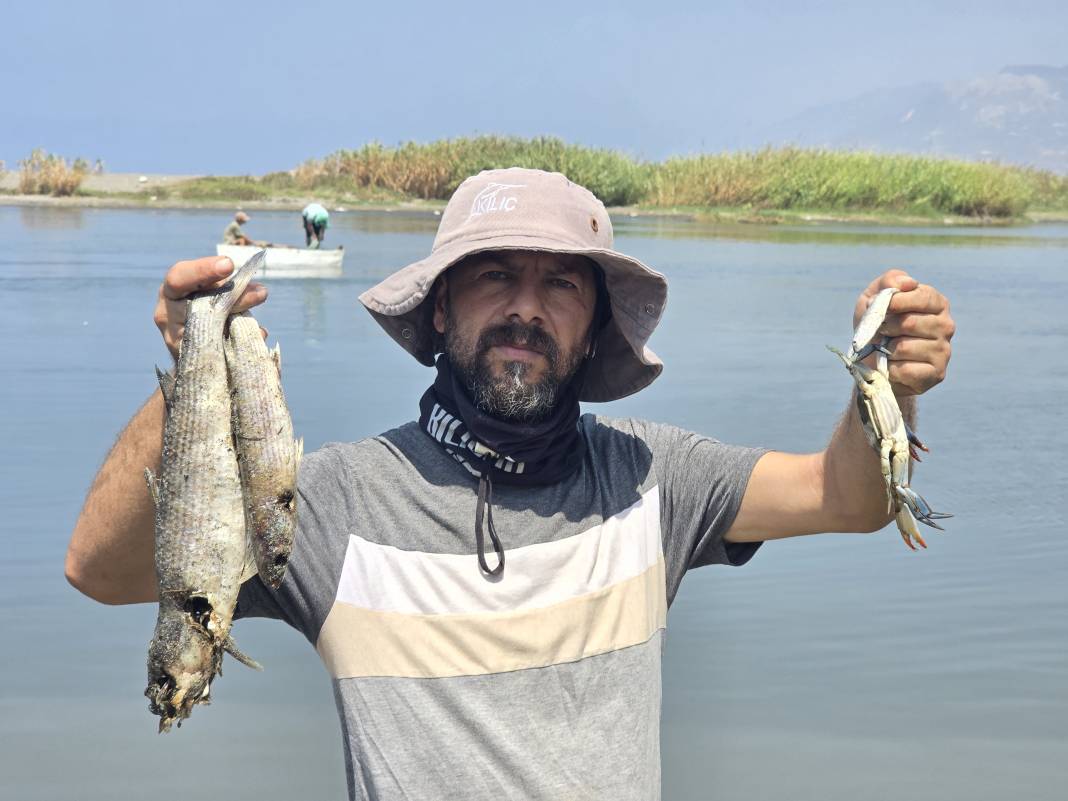 Etrafına ölüm saçıyor, yaşamı bitiriyor! Asi Nehri'nde istila alarmı 4