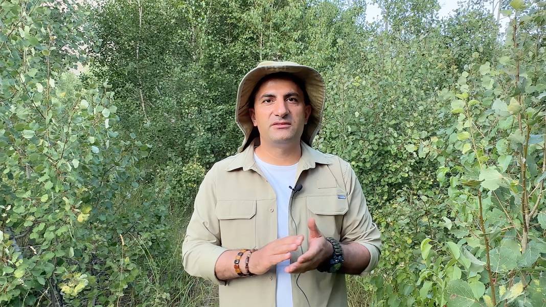 2 bin 250 rakımlı Nemrut Gölü'nde ayıların su keyfi 4