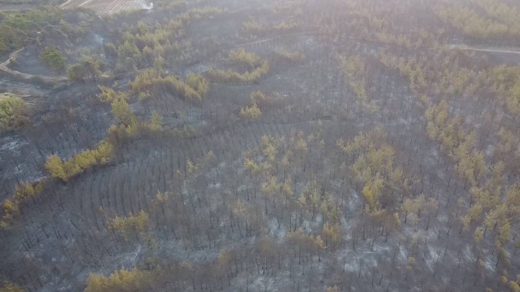 Gökyüzünden bakınca anlaşılan vahşet!  Gün ağarınca ortaya çıktı 7