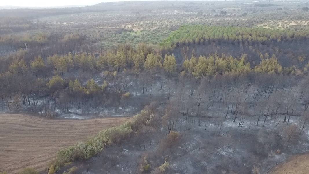 Gökyüzünden bakınca anlaşılan vahşet!  Gün ağarınca ortaya çıktı 9