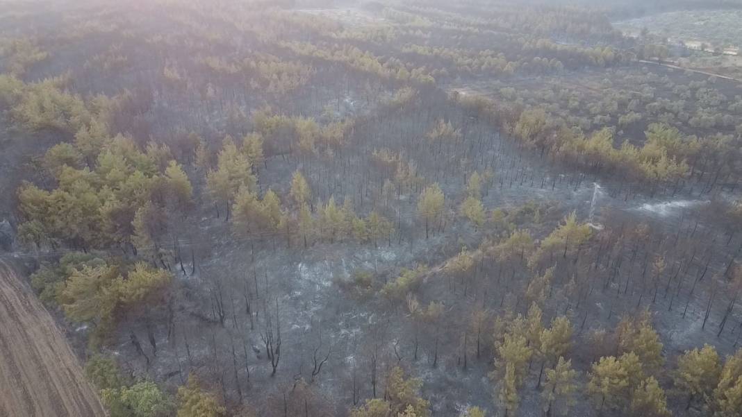 Gökyüzünden bakınca anlaşılan vahşet!  Gün ağarınca ortaya çıktı 10