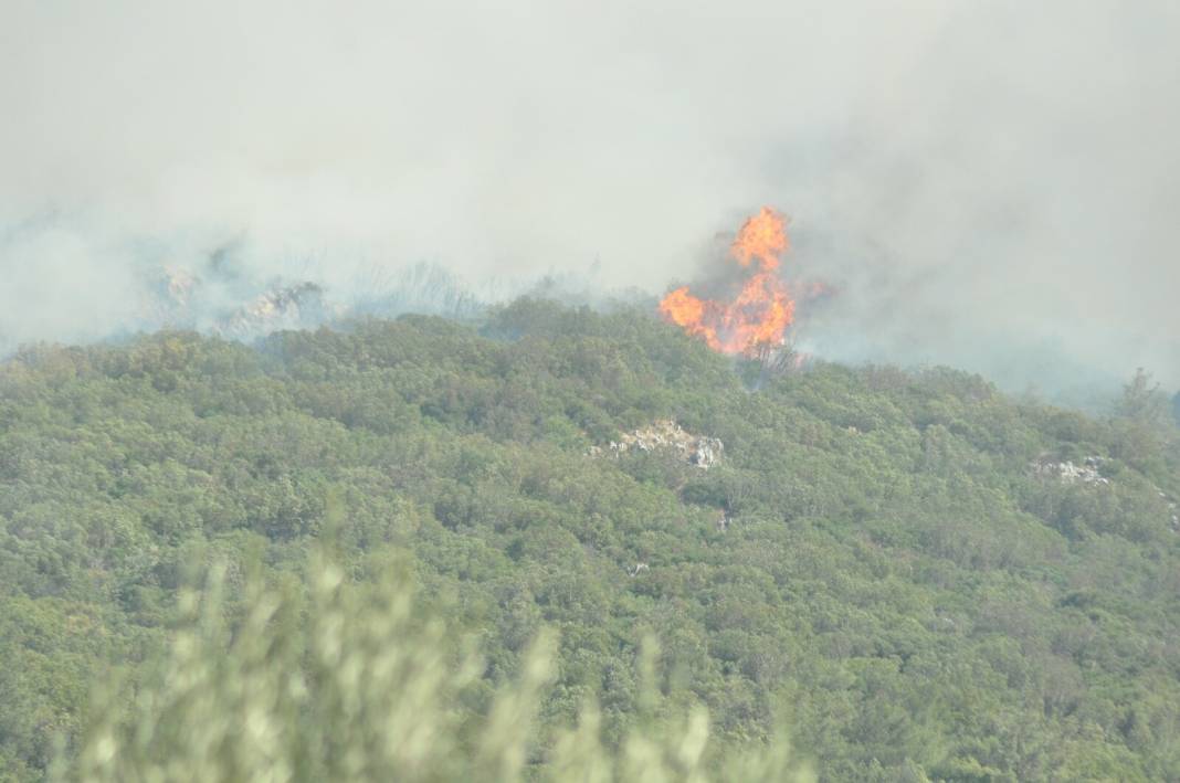 Soma'da orman yangını 2'nci gününde 2