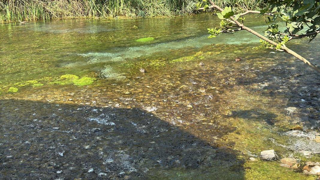 Kadın Azmağı’nda kuraklık kabusu! Su seviyesi 35 santimetre düştü 6