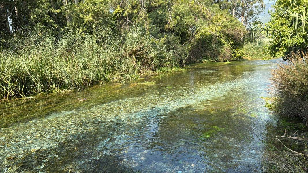 Kadın Azmağı’nda kuraklık kabusu! Su seviyesi 35 santimetre düştü 3