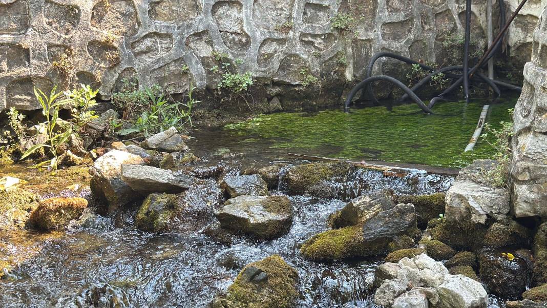 Kadın Azmağı’nda kuraklık kabusu! Su seviyesi 35 santimetre düştü 1