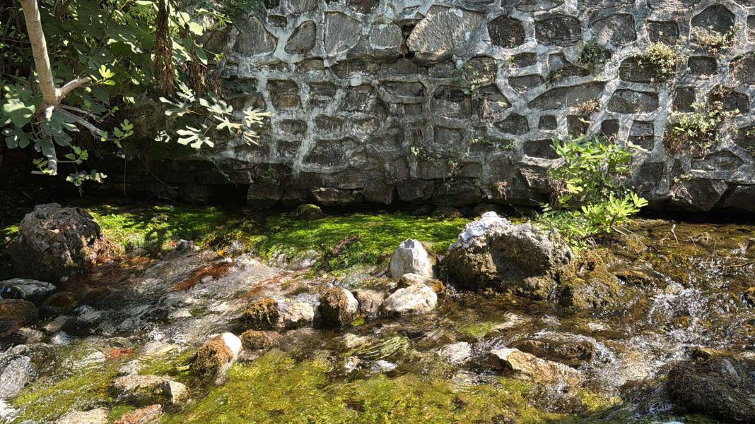 Kadın Azmağı’nda kuraklık kabusu! Su seviyesi 35 santimetre düştü 7