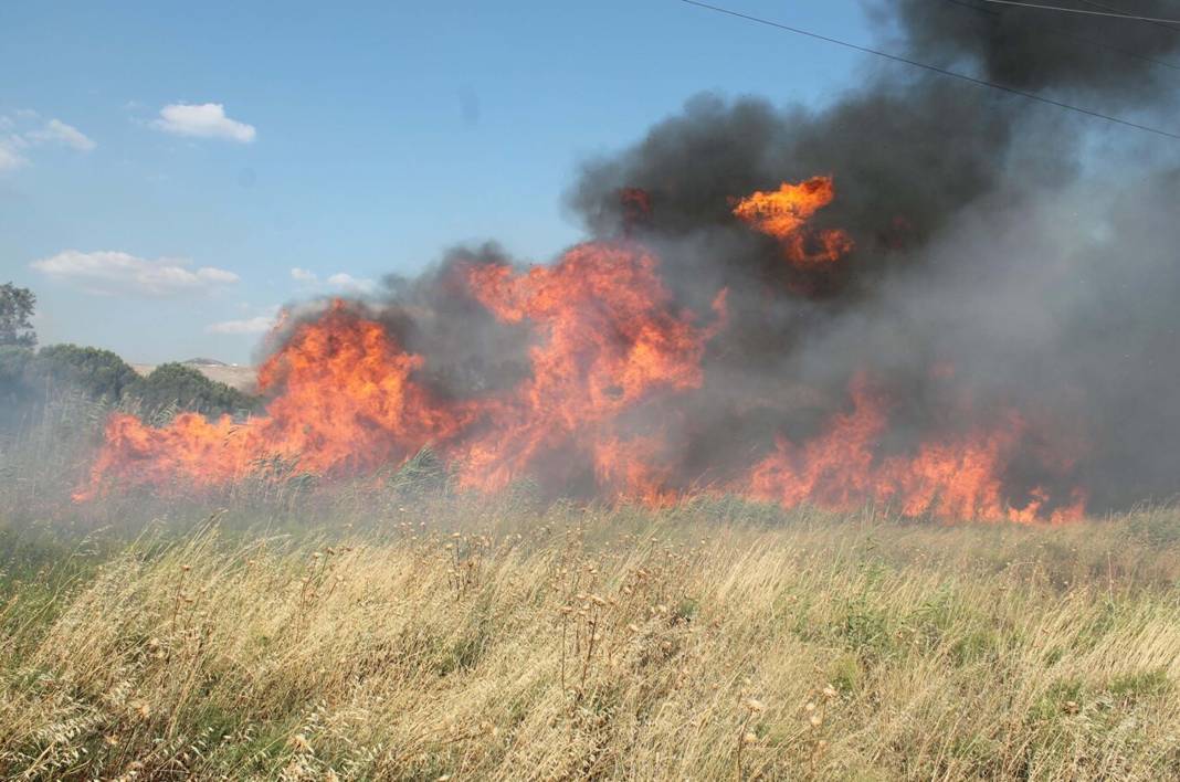 Orman yangınları için felaket senaryosu! Uzman isim gün verdi 1