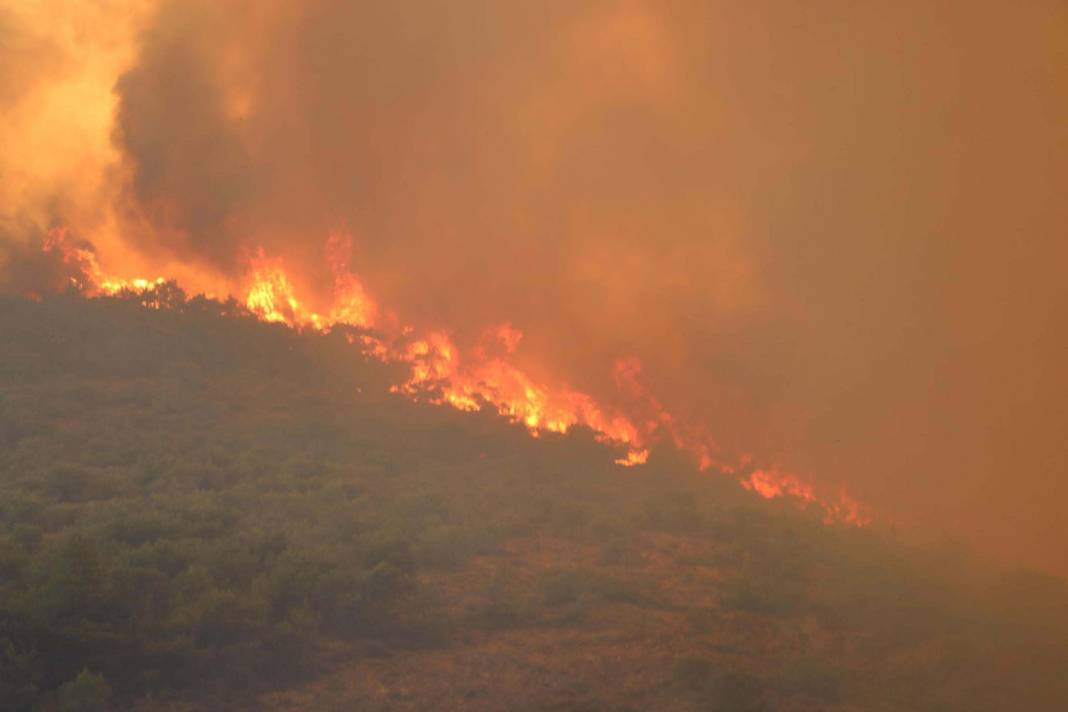 Orman yangınları için felaket senaryosu! Uzman isim gün verdi 8