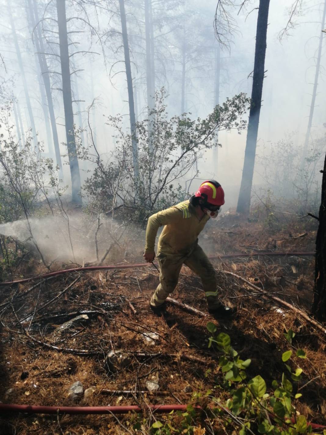 Adana'da otomobil alev aldı, yangın ormana sıçradı! 4
