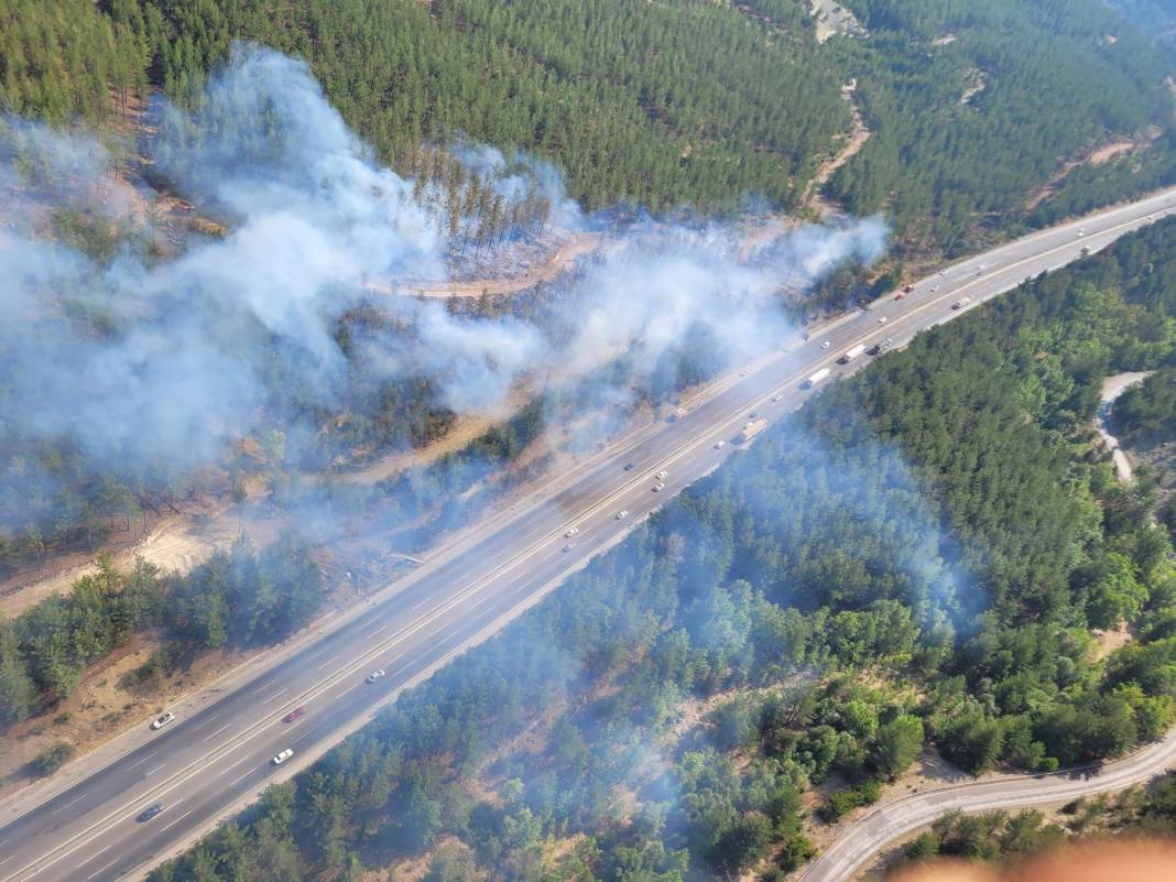 Adana'da otomobil alev aldı, yangın ormana sıçradı! 1