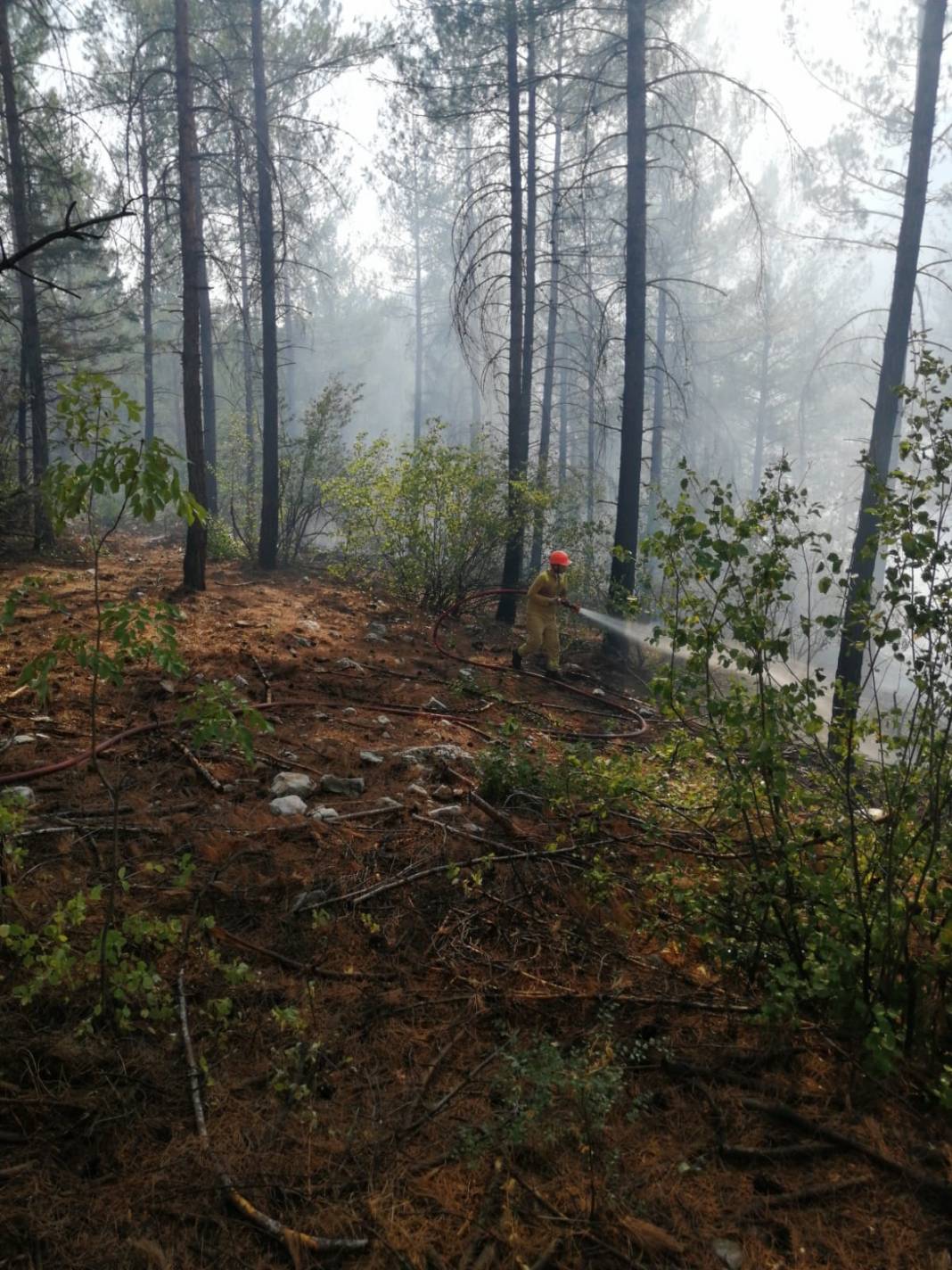 Adana'da otomobil alev aldı, yangın ormana sıçradı! 3