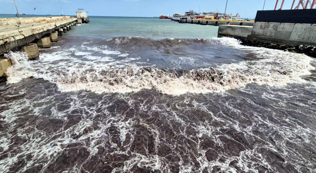 Marmara Denizi kırmızıya büründü 3