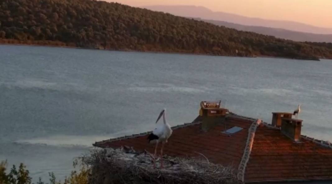 Yaren leyleğin huzursuz bekleyişi! Depremi hissettiği anlar kamerada 3