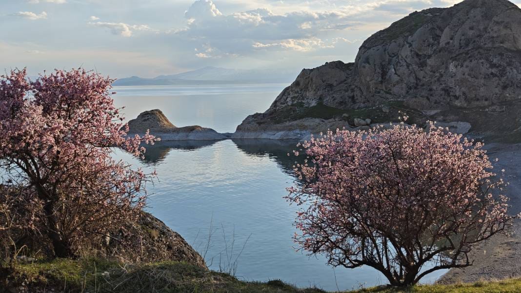 Adilcevaz'da açan badem çiçeklerinin Van Gölü ile birleşen manzarası herkesi büyüledi 10