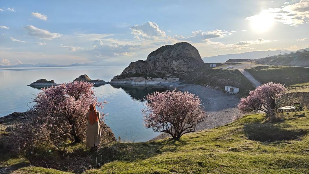 Adilcevaz'da açan badem çiçeklerinin Van Gölü ile birleşen manzarası herkesi büyüledi 12