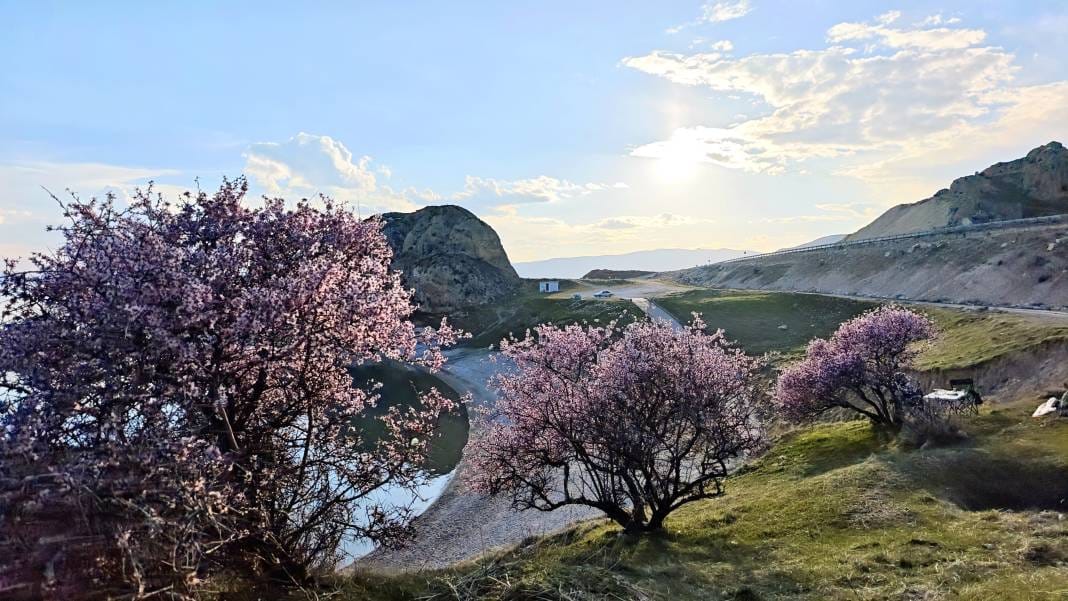 Adilcevaz'da açan badem çiçeklerinin Van Gölü ile birleşen manzarası herkesi büyüledi 9
