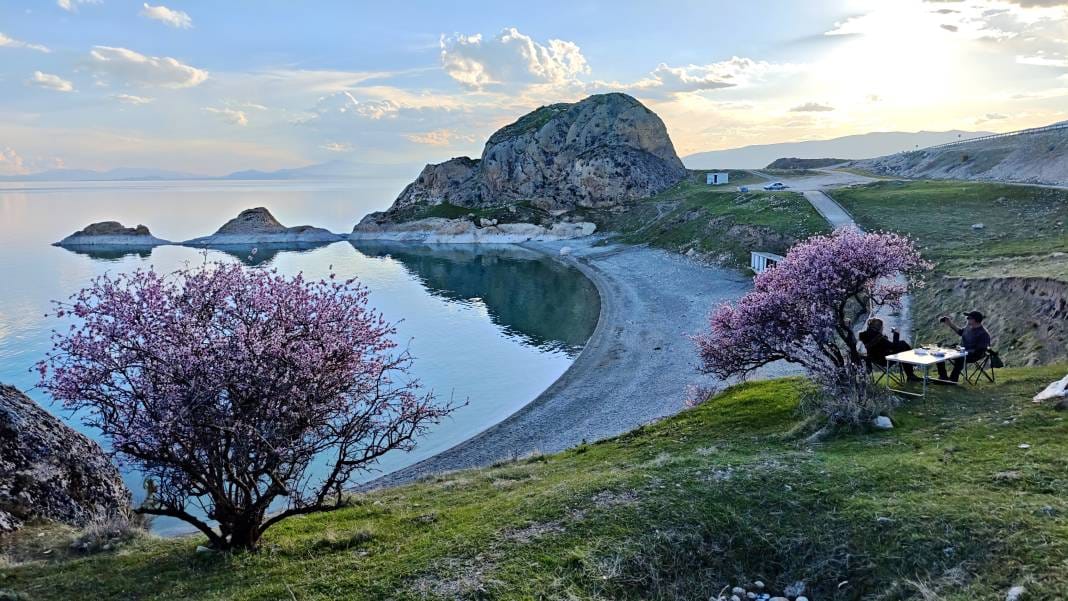 Adilcevaz'da açan badem çiçeklerinin Van Gölü ile birleşen manzarası herkesi büyüledi 7