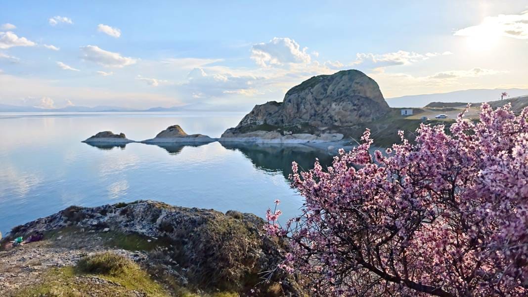 Adilcevaz'da açan badem çiçeklerinin Van Gölü ile birleşen manzarası herkesi büyüledi 8
