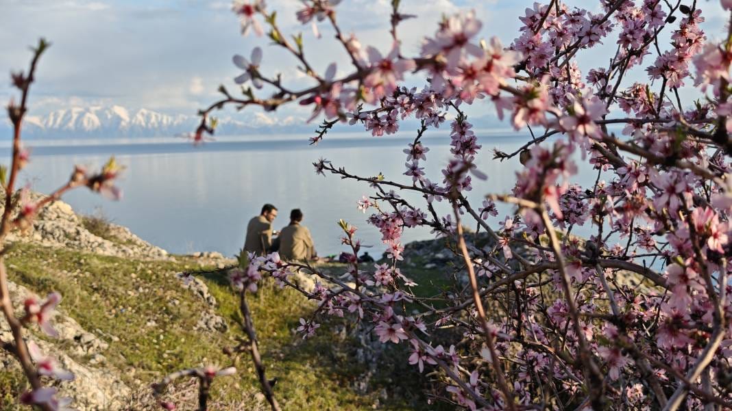 Adilcevaz'da açan badem çiçeklerinin Van Gölü ile birleşen manzarası herkesi büyüledi 4