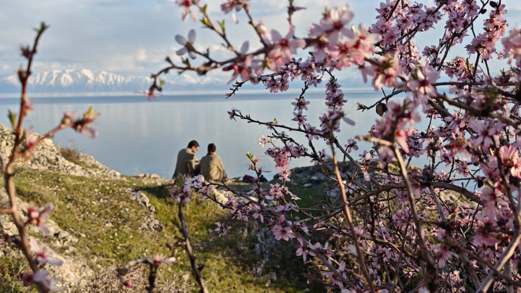 Adilcevaz'da açan badem çiçeklerinin Van Gölü ile birleşen manzarası herkesi büyüledi 1