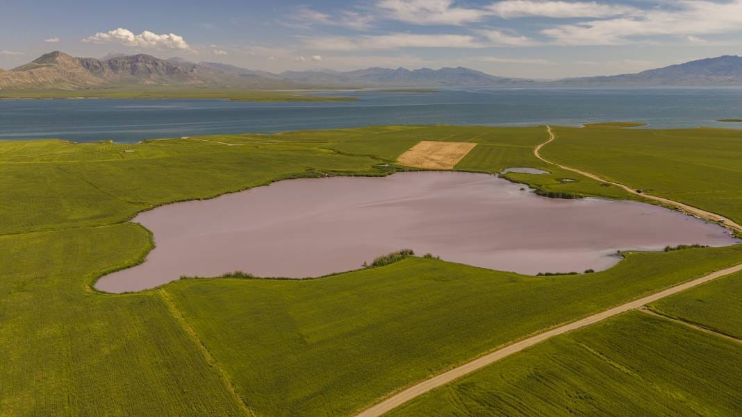 Görüntüsü cennet, kokusu cehennem: Renk değiştiren gölet bu kez de mor oldu 5