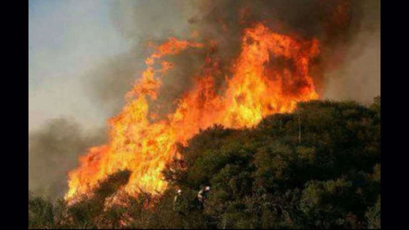 Kaz Dağları’nda 4 ayrı noktada orman yangını başladı 4