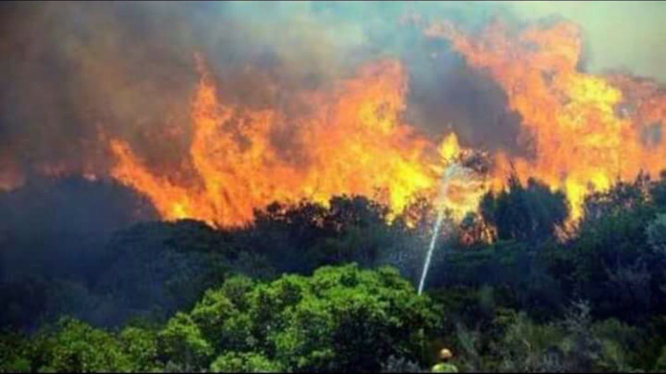 Kaz Dağları’nda 4 ayrı noktada orman yangını başladı 5