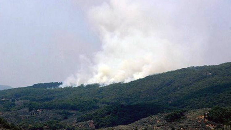 Kaz Dağları’nda 4 ayrı noktada orman yangını başladı 7
