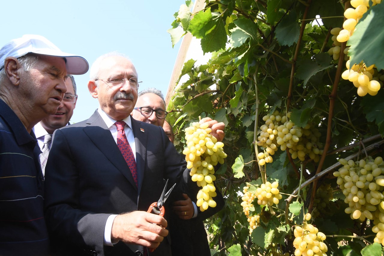Kılıçdaroğlu'ndan üzüm üreticilerine ve işletmecilerine ziyaret 4