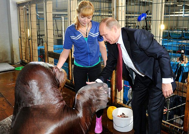 Rusya Devlet Başkanı Vladimir Putin 65 yaşında 11