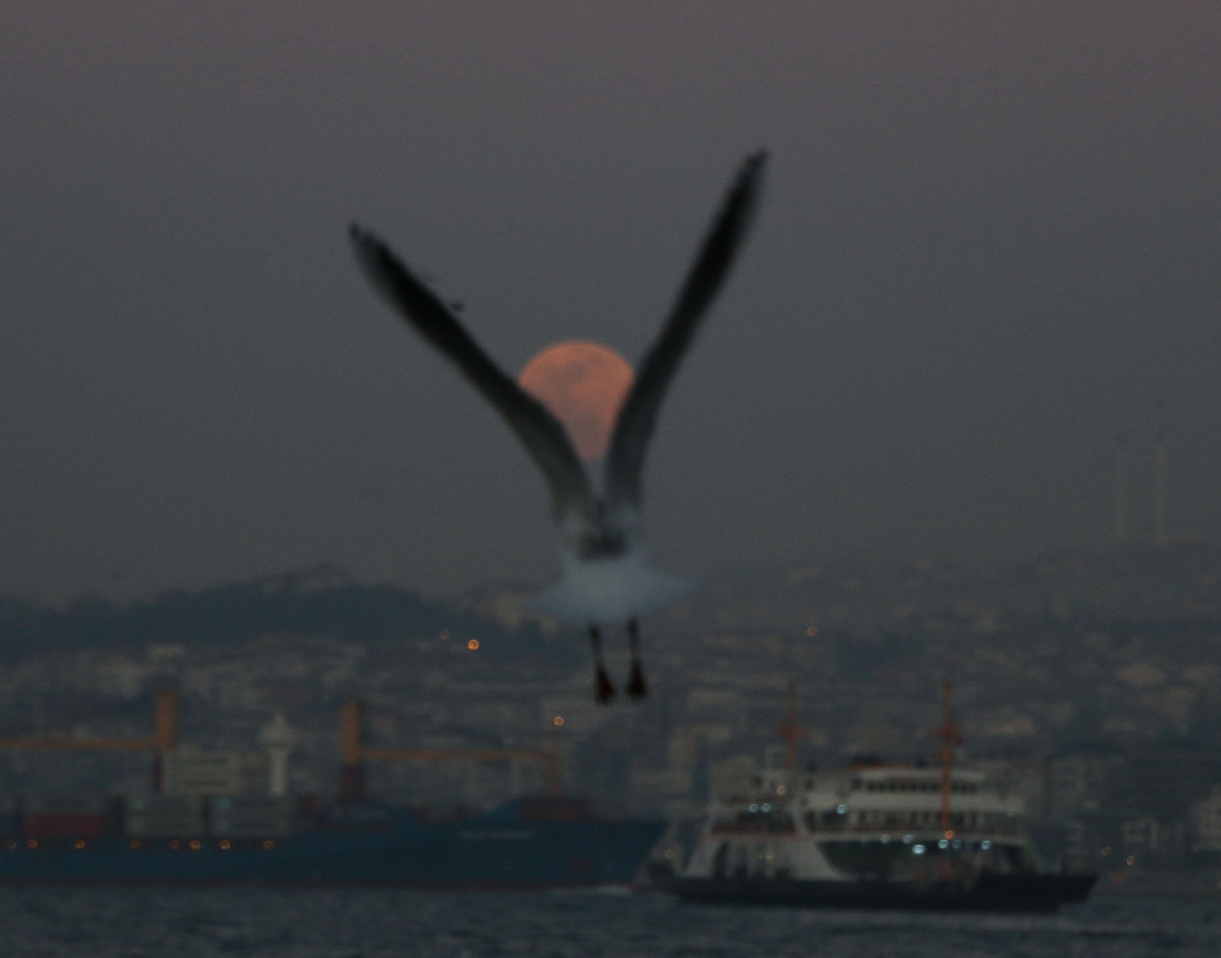 2019'un ilk 'Süper Ay'ı İstanbul'da görenleri büyüle 3