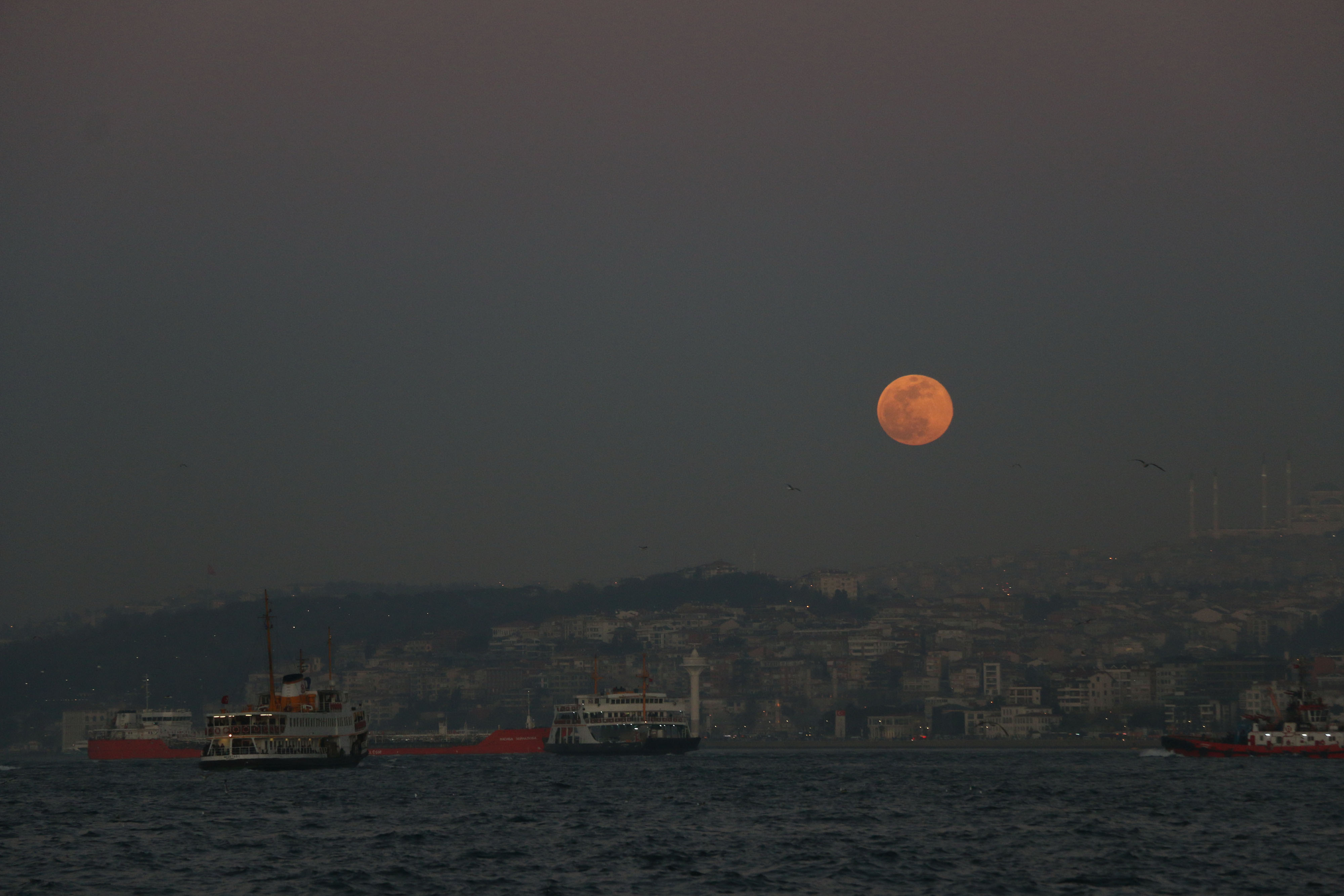 2019'un ilk 'Süper Ay'ı İstanbul'da görenleri büyüle 5