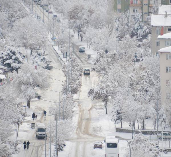 Doğu'da dondurucu soğuklar: Erzurum eksi 24.1, Erzincan eksi 23.9 3
