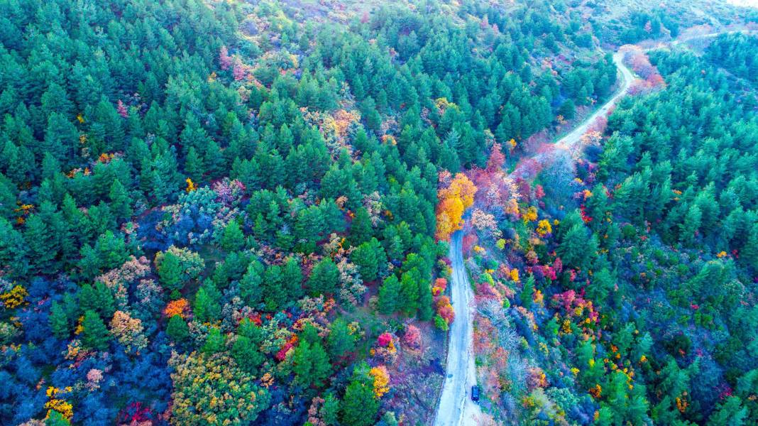 Spil Dağı'ndan sonbahar manzaraları 1