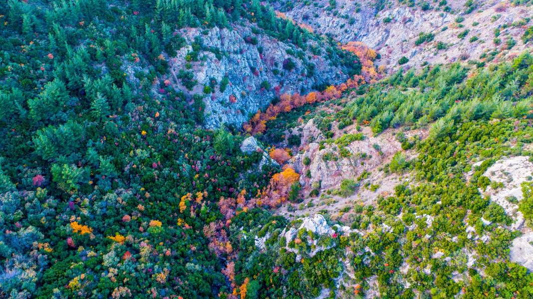 Spil Dağı'ndan sonbahar manzaraları 7