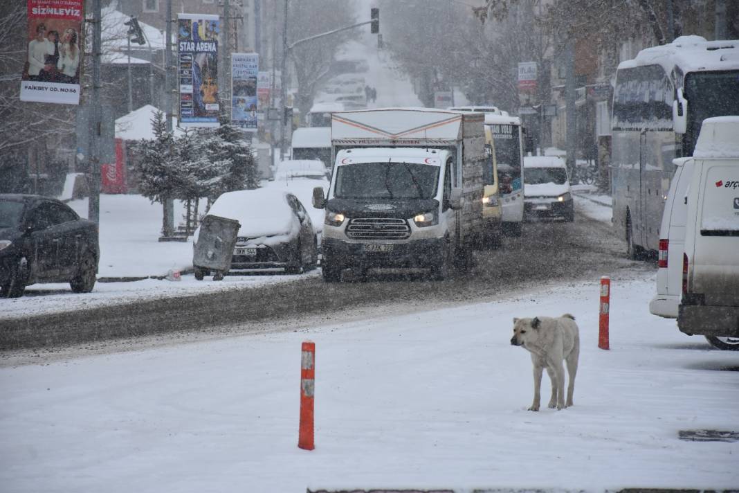 Türkiye'de kar manzaraları 11
