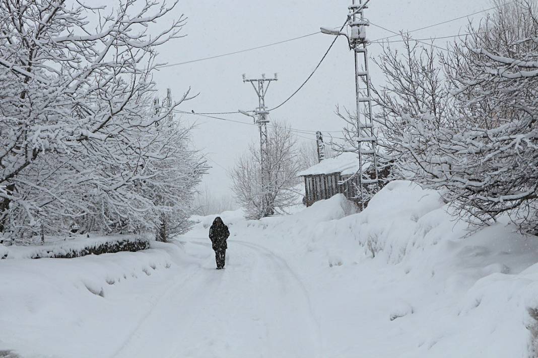 Türkiye'de kar manzaraları 43