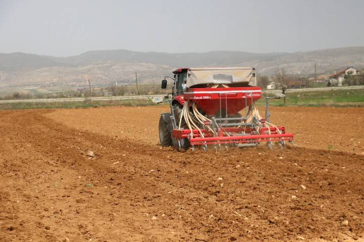 Tekstil sektörü için kenevir üretimine başlanıyor 5