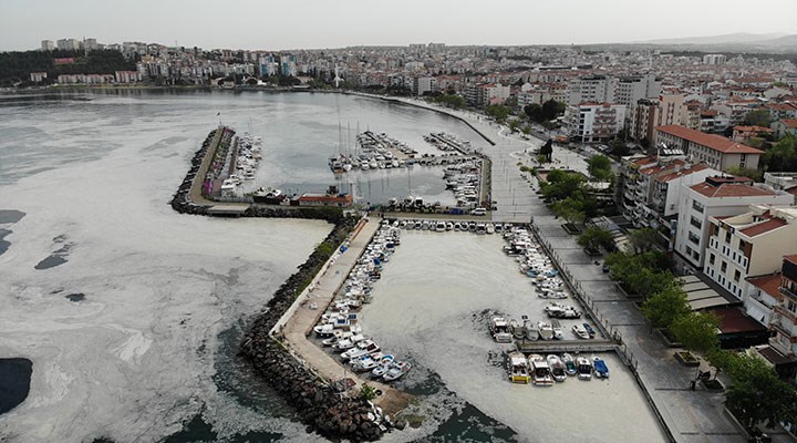 Marmara, Karadeniz ve Kuzey Ege 'müsilaj' tehlikesi altında