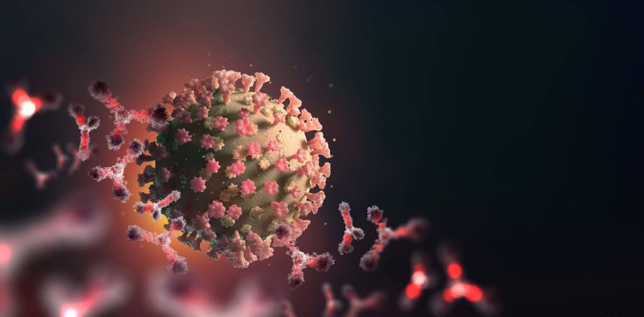 DSÖ'den korkutan uyarı: Avrupa'da koronavirüs vakalarında düşüş durdu, yeni dalga kaçınılmaz