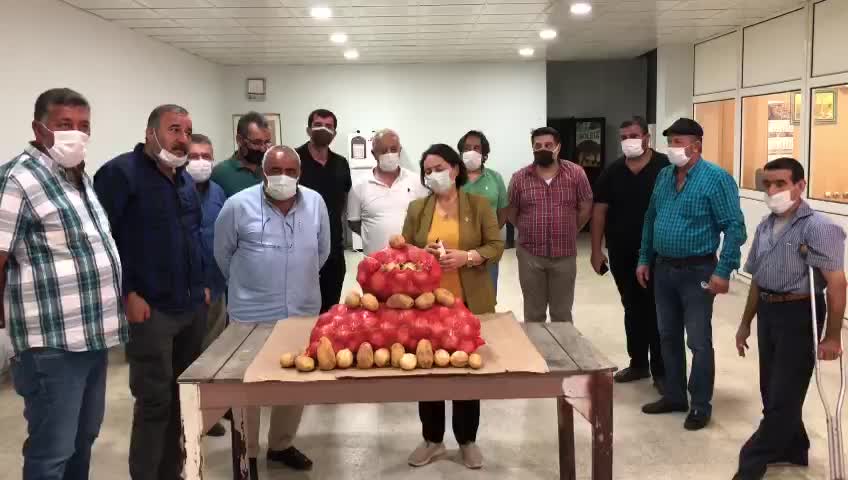 Adanalı çiftçinin patates soğan isyanı: Para etmiyor