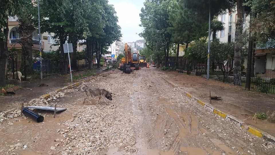 Erdek'te çiftçiler zararlarının karşılanmasını istiyor